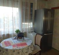 Kitchen in a 2-room apartment with a large refrigerator and a dining table.