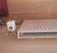 Radiator with a thermostat in a 2-room apartment with wooden walls.
