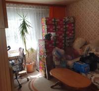 Living room in a 2-room apartment with a plant, boxes, and a coffee table.