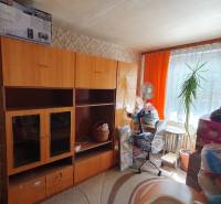 2-room apartment with wooden shelves, a houseplant, and colorful curtains.
