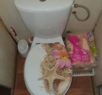 Toilet with a decorative seat featuring sea motifs in a 2-room apartment.