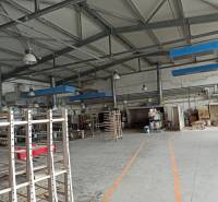 Warehouse and hall space with industrial equipment and shelves, ready for use.