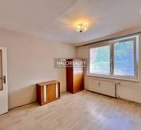 A studio apartment with wooden furniture and a large window, offering pleasant daylight.
