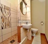 A bathroom in a studio apartment with a modern shower, sink, and toilet.