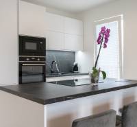 A kitchen in a 3-room apartment with built-in appliances, a black countertop, and a pink orchid.