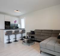 Living room in a 3-room apartment with a sofa and a kitchen counter with stools.