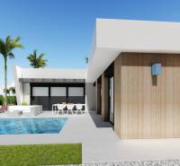 A pool and loungers at a villa in Calasparra, surrounded by a lawn and palm trees.