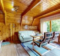 A cabin with a wooden interior features a fireplace, a sofa set, and a large window with a view.