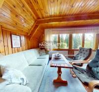 Wooden living room in a cabin with a sofa, armchairs, and a view of the forest.