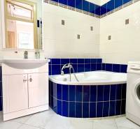 A bathroom in a 2-room apartment with a bathtub, sink, and washing machine, tiled with blue tiles.