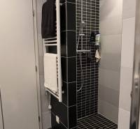 Bathroom interior in a family house, shower corner and ladder radiator for towels.