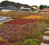 A rooftop garden on a family house in Zurndorf with various types of succulents.