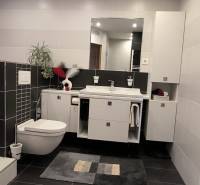 A bathroom in a family house with a sink, bathtub, and mirror, in shades of gray.