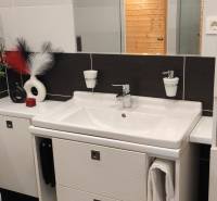 A bathroom in a family house with a sink, toilet, and decorative elements.