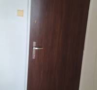 Wooden door with a metal handle as part of a 3-room apartment.