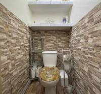 A toilet in a family house with wooden paneling and a decorative seat.