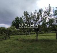 Greenery and fruit trees on a plot suitable for living in the town of Krupina.