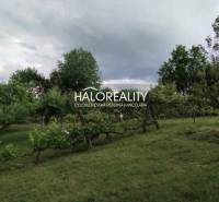 Greenery with fruit trees and vineyards suitable for plots - living in Krupina.