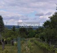 Vineyards and trees with a view of the landscape in Krupina, ideal for plots - housing.