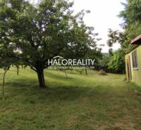 Garden with a cottage and trees in Pozemky - living in Krupina.