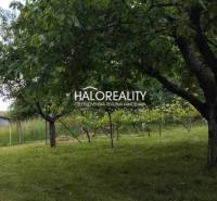 Garden with fruit trees and lawn in Krupina, suitable for residential plots.