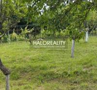 A garden with fruit trees, suitable for residential plots in Krupina.