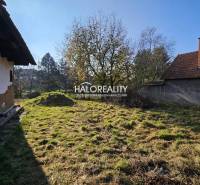 An older house surrounded by a grassy plot, ideal for living in nature.