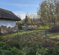An older house for renovation, surrounded by greenery, suitable for land - living.