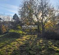 A garden with a grassy plot, older buildings, and trees, ideal for living or gardens.