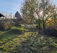 A grassy plot next to an older house, surrounded by trees, suitable for living.