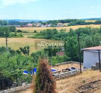 Gardens in Lučenec with a view of the field and scattered buildings in the background.