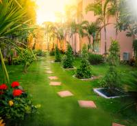 A view of the garden during the construction of apartments in Pattaya with ornamental plants.