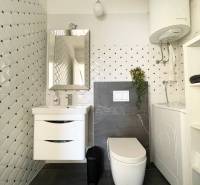 Bathroom in a holiday apartment with storage space, mirror, and washing machine.