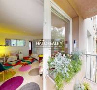 A balcony with a view of greenery, entrance to a bright 4-room apartment with a colorful interior.