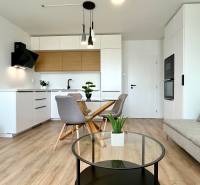 Living room in a two-room apartment with a kitchenette, sofa, and table.
