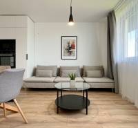 Living room in a two-room apartment with a sofa, dining table, and large window.