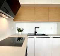 A kitchen in a 2-room apartment with wooden cabinets, a stovetop, and a plant on the counter.