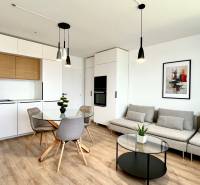 Design kitchen and living room in a two-room apartment with wooden details and decoration.