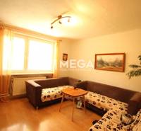 Living room with brown sofas, a plant, and a painting in a family house.