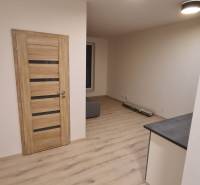 Wooden doors, light laminate flooring, and ceiling lights in a studio apartment.