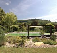 The garden of a family house in Podbranč with a swimming pool, surrounded by greenery and beautiful nature.