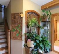 Interior of a family house with a wooden staircase and lots of houseplants.