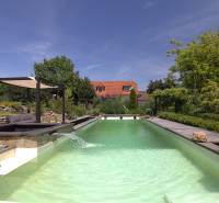 A family house in Podbranč with a swimming pool, pergola, and landscaped garden.