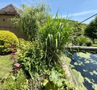 A garden at a family house in Podbranč with a pond and rich greenery.