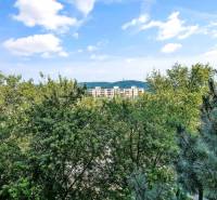 View of the apartment buildings behind the trees on Landauova Street in Bratislava.