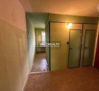 A spacious room in a 3-room apartment with parquet flooring and a large window.