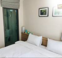 Interior of a 2-room apartment with a bed, decoration, and a built-in bathroom behind glass doors.
