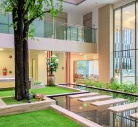 Interior with a spacious garden, lawn, and water features in the construction of apartments.