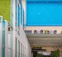 A rooftop pool, surrounded by a building and greenery, Apartment construction in Pattaya.