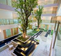 Interior with central greenery and glass corridors in apartment construction.